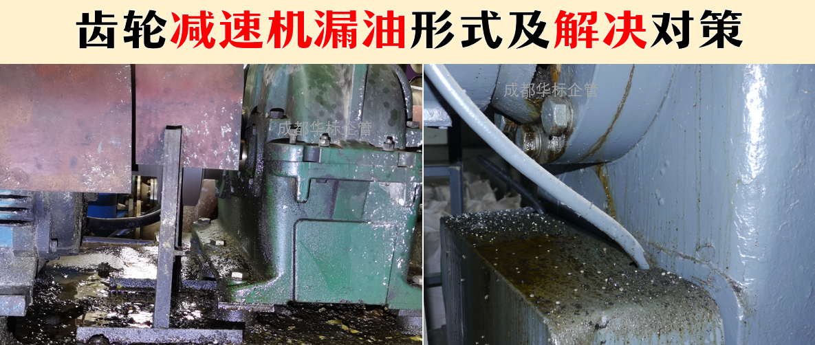 齿轮减速机漏油形式及解决对策
