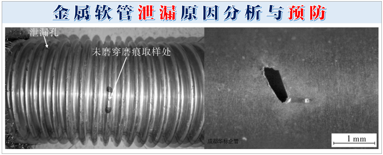 金属软管泄漏原因分析与预防
